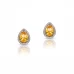 Brincos LOOXE Diamantes TRL006629B