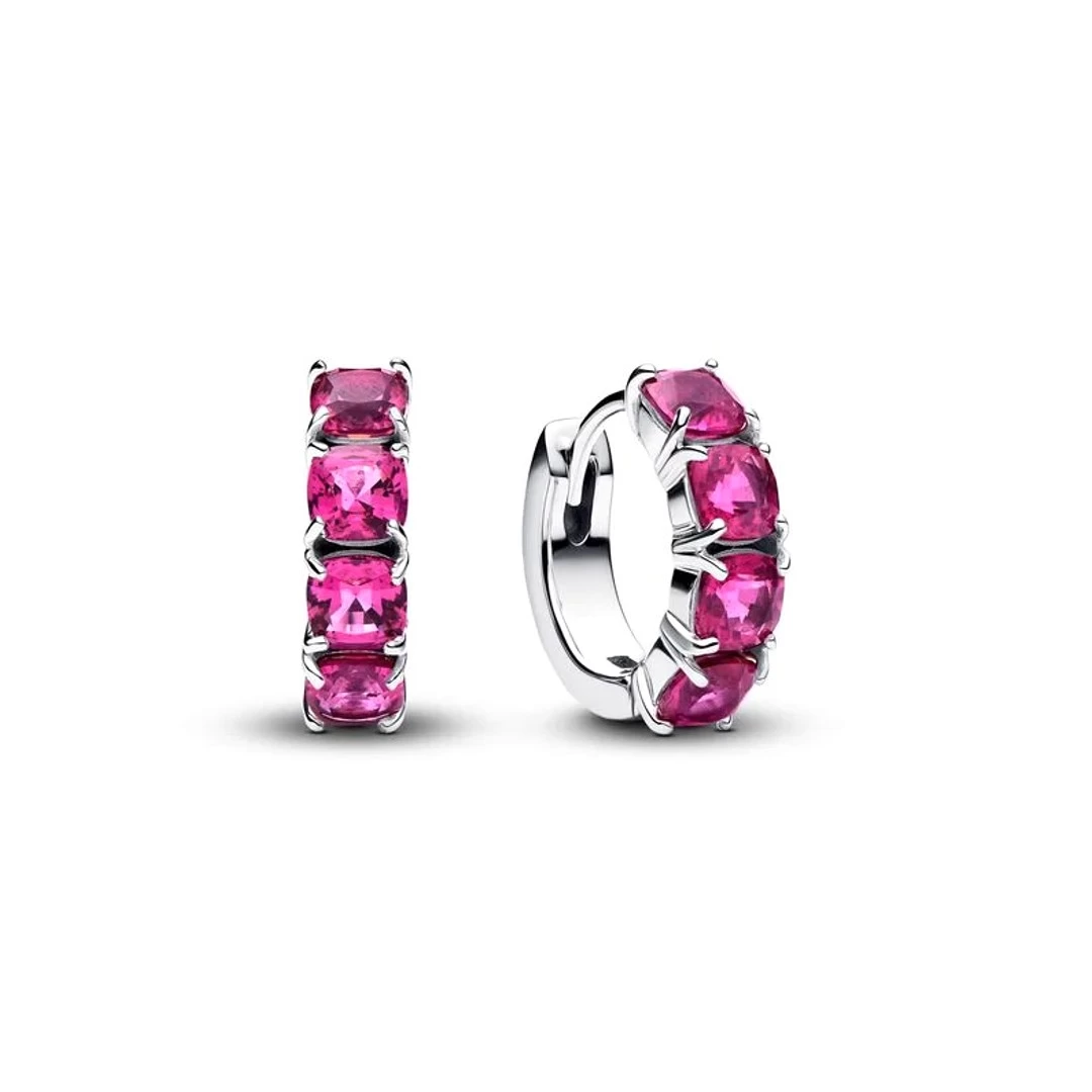 Brincos PANDORA Hoop 293851C02