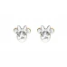 Imagem Principal em Miniatura do produto Brincos DISNEY Minnie AG066B1