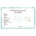 Anel LECARRÉ Diamantes Ouro 18k GA003OA.13